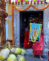 Brahmakalashanga Rathotsava at Shrimath Anantheshwar Temple Vittal (30 April 2025)